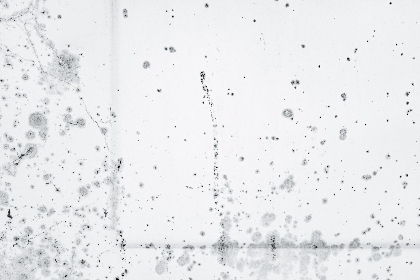 Taches noires de moisissure se propageant sur une surface claire — le motif typique de la condensation dans un grenier