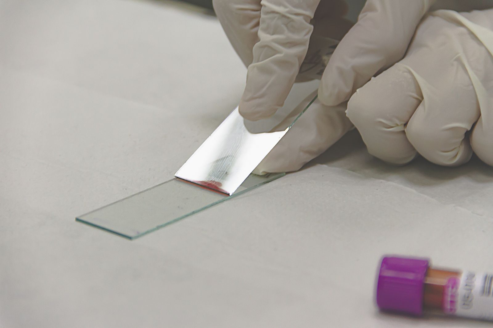 Échantillon d'isolant prélevé pour analyse d'amiante en laboratoire